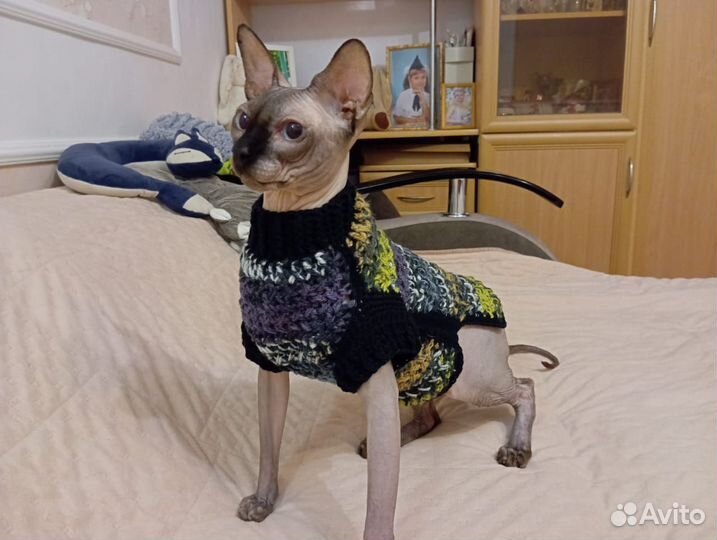 Вязаная одежда на животных.Ручная работа