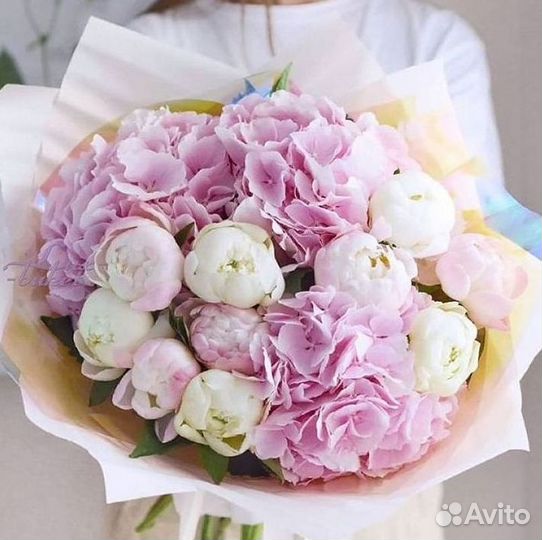 Пионы Цветы Доставка