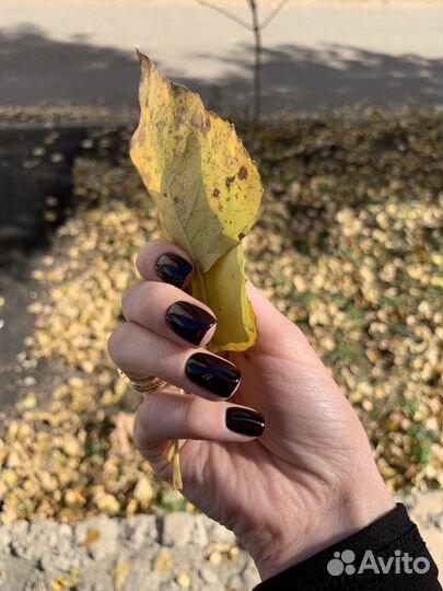 Маникюр и педикюр