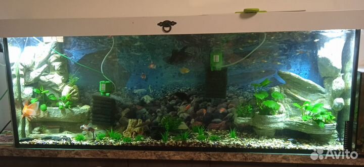 Аквариум