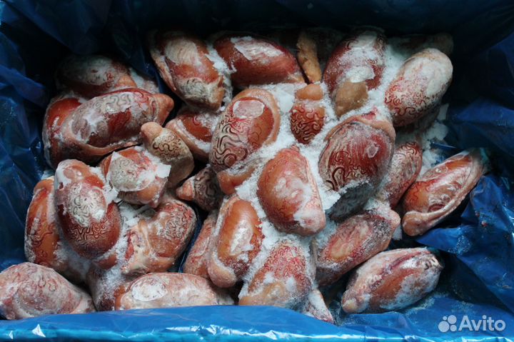 Семенники говяжьи