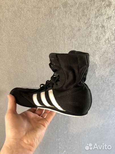 Боксерки adidas box hog 2