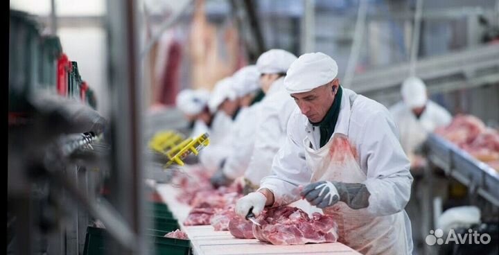 Подсобный рабочий на мясокомбинат(вахта)