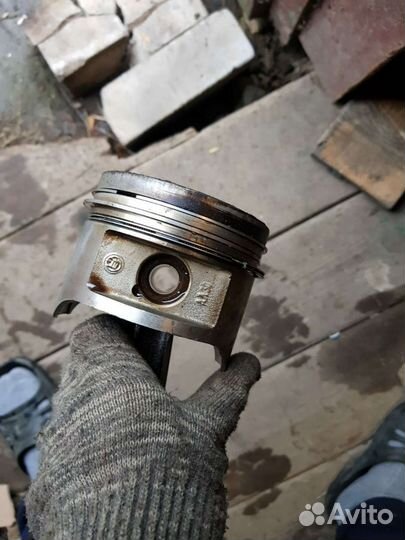 Поршня газель 4216