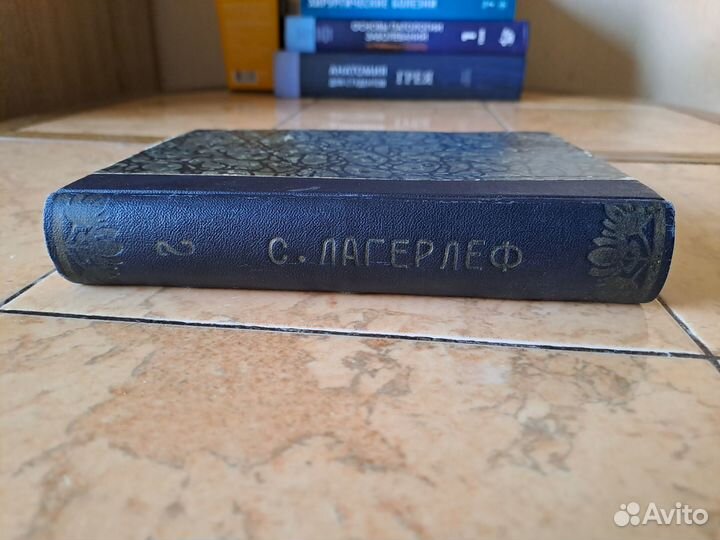 Чудесное путешествие на гусях (Нильс)