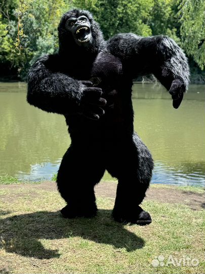 Аниматоры на день рождения, Ведущий мероприятий