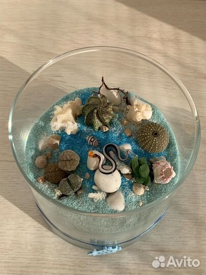 Флорариум «Морской риф»