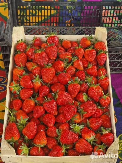 Клубника свежая