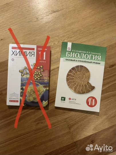 Учебники 10-11 класс