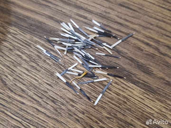 Бархатцы семена