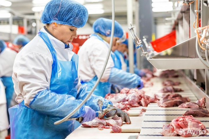 Разнорабочие на мясокомбинат без опыта / Пенза