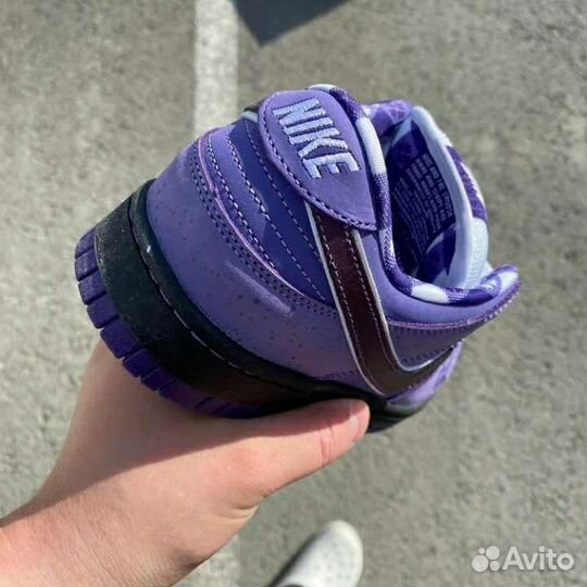 Кеды SB Dunk Low Pro OG QS Concepts/Purple Lobster