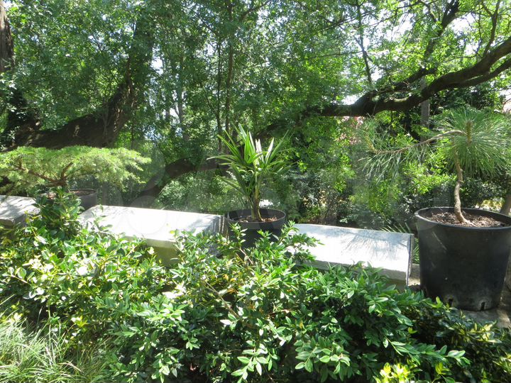 Дом 50 м² на участке 6 сот.