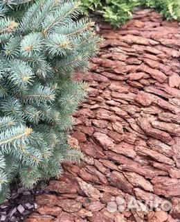 Кора (сосновая ), доставка