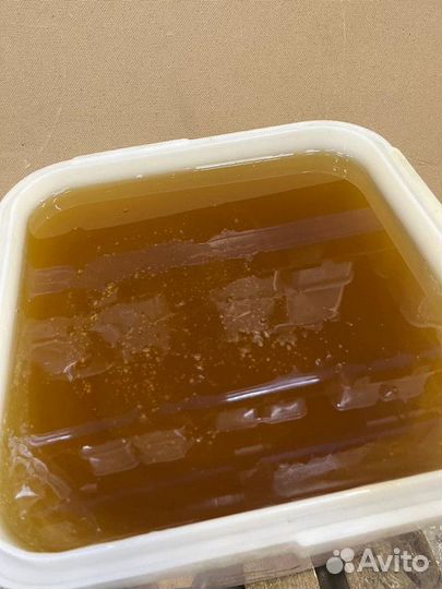 Эспарцет качка 2023 только опт