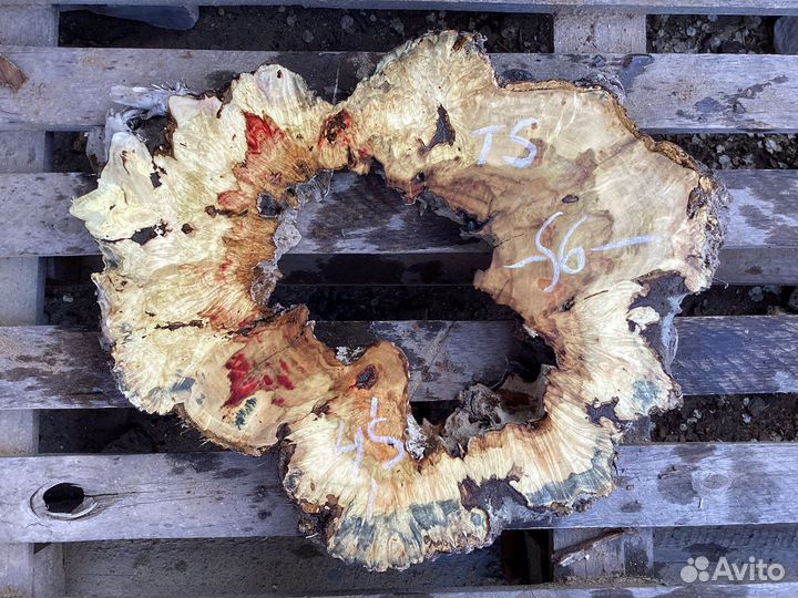 Спилы ореха, карагача, клена