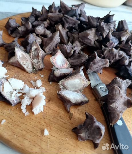 Орех чилим для поделок