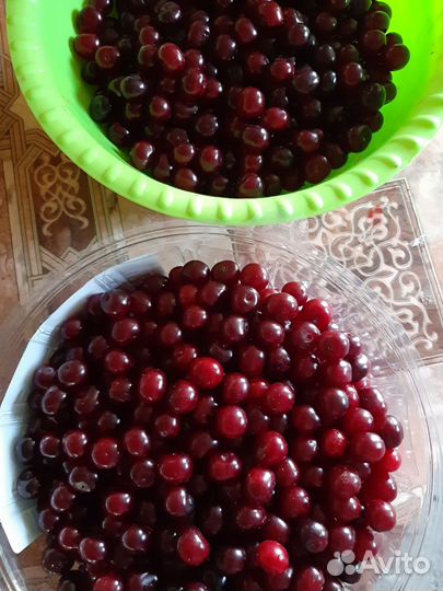 Вишня на компот