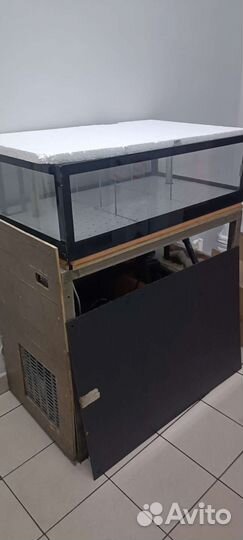 Аквариум для продажи рыб