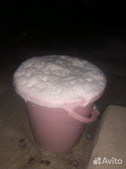 Корова дойная