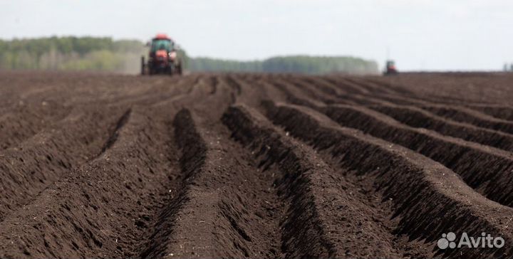 Доставка чернозем плодородный грунт от 3м3