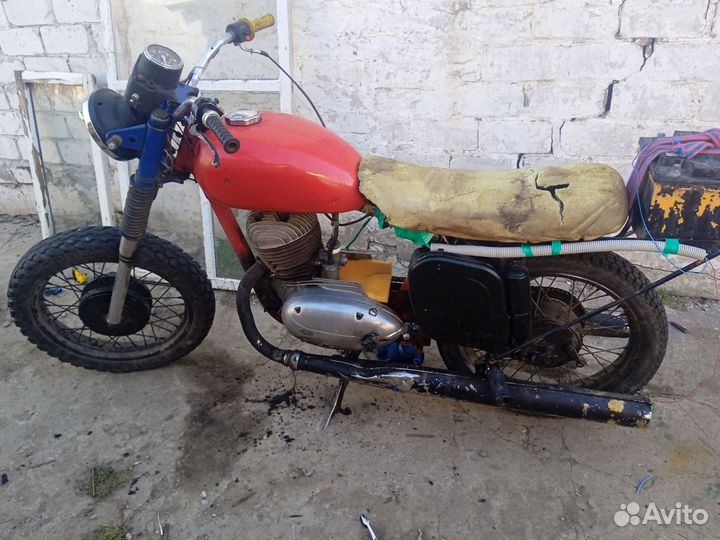 Ява старушка