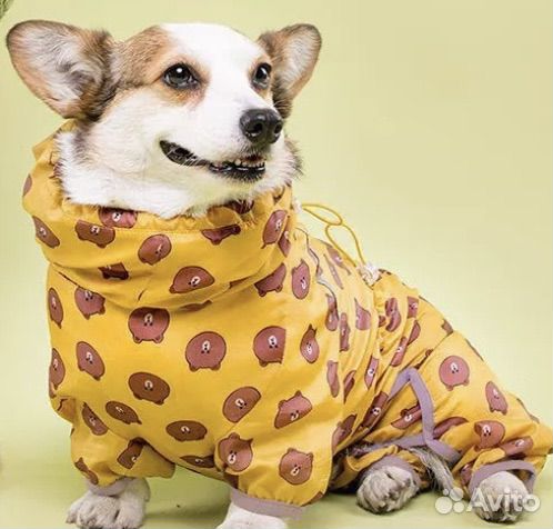 Дождевик для корги