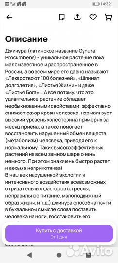 Джинура листья бога