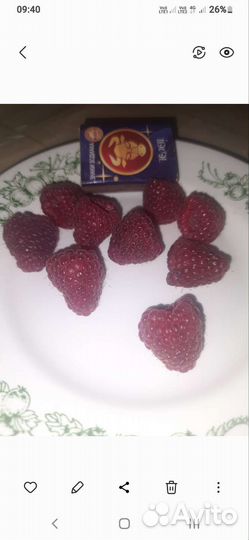 Малина (20 сортов)крупноплодная,бесшипные,ремонтан