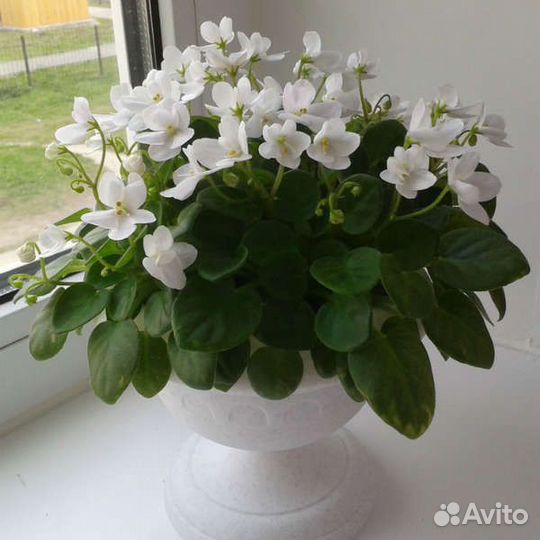 Кашпо для фиалок (новые)