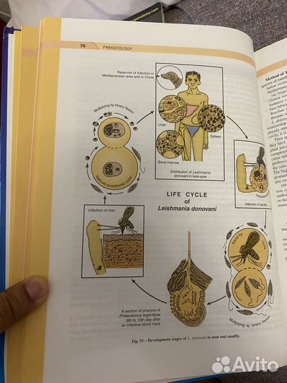 Книга по паразитологии