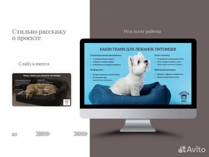 Презентация в Power Point