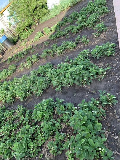 Дача 19,3 м² на участке 5,6 сот.