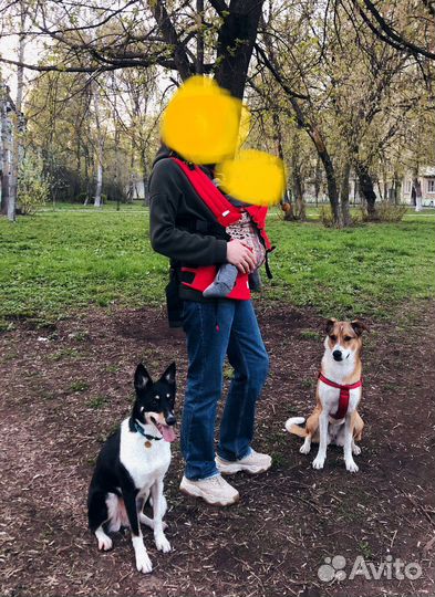 Эргорюкзак aloe slings