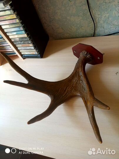 Лосиные рога