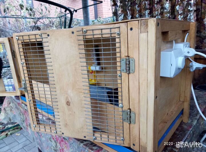 Брудер для подращивания птицы