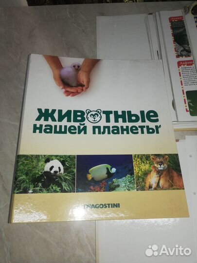 Журналы познавательные для детей о животных