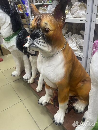 Собака Бульдог