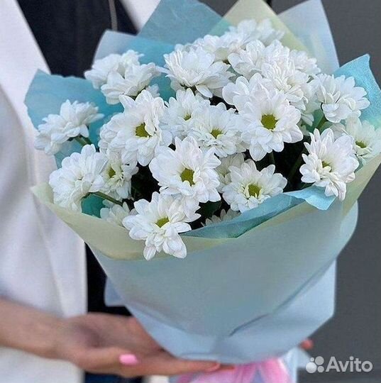 Хризантема