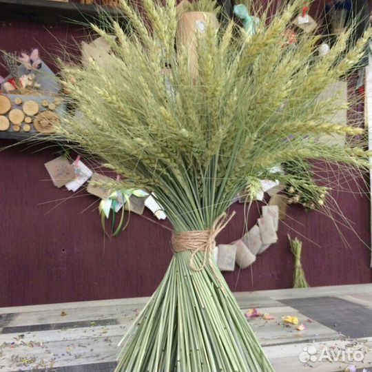 Букет из пшеницы, пшеничный букет пшеница