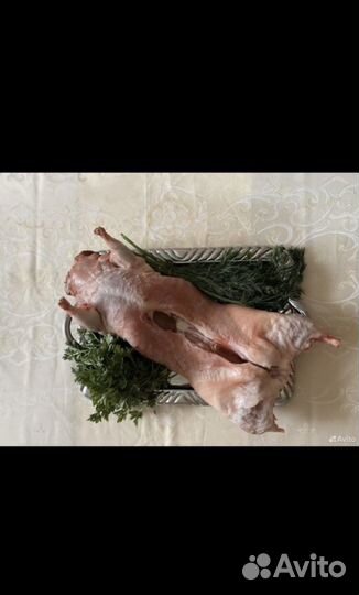 Головы нутрии корм для собак