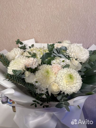 Хризантема