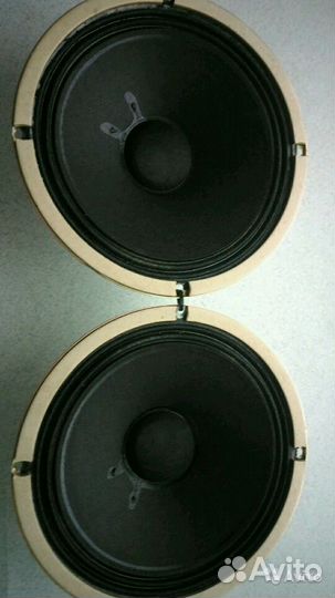 Динамики 8 дюймов + горны Pioneer