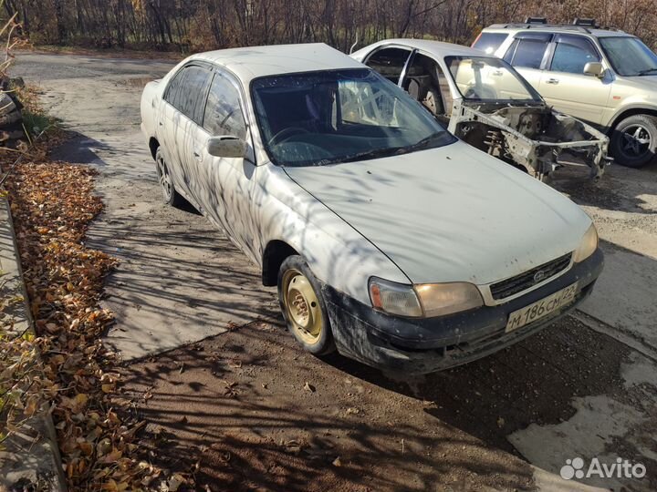 Корона в разбор