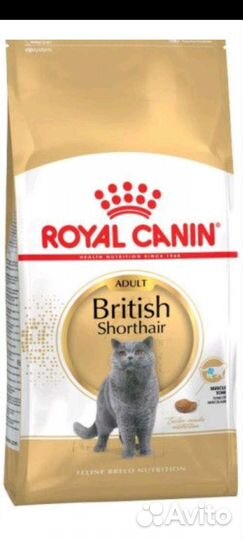 Монж Б Р А В Е К Т О