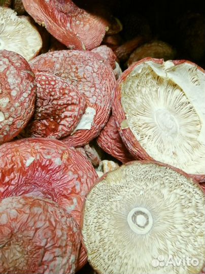 По всей России сдеком 11