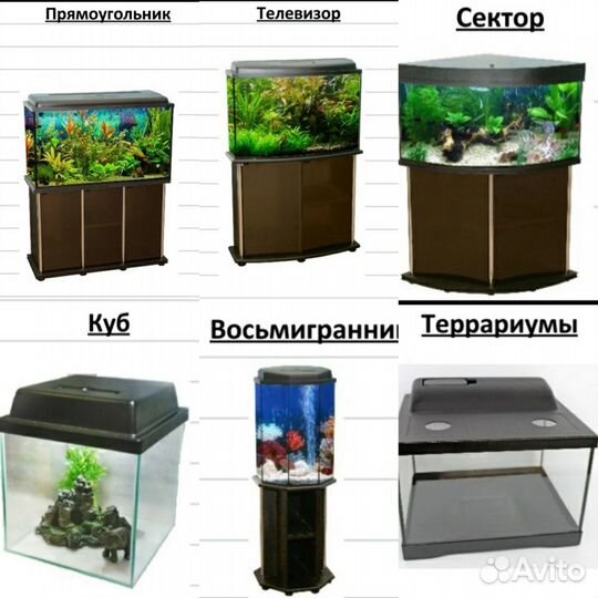 Аквариумы, Черепашники, Петушатники