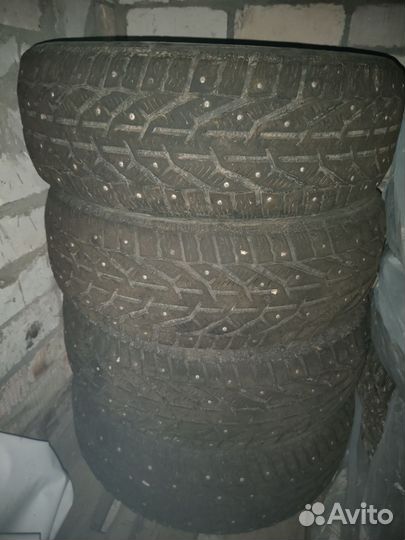 Tigar Ice 205/55 R16