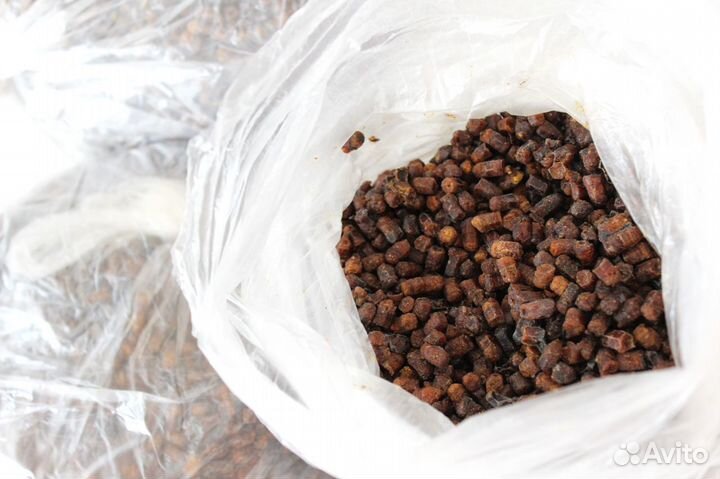 Перга, подсушенная - смотрите описание