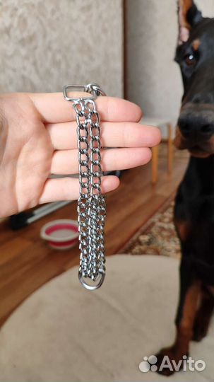 Ошейник/цепочка
